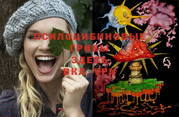 спиды Беломорск